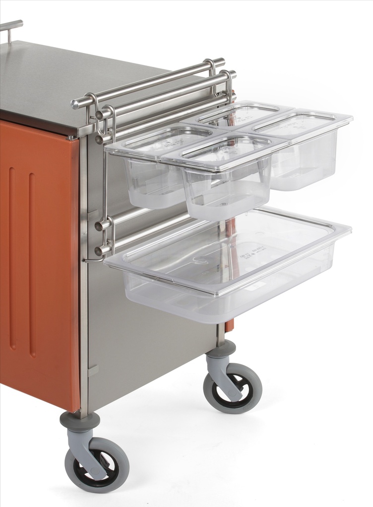 Echelle inox pour 2 supports bacs